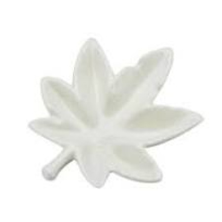 Ashtray Champ with Leaf design in a luxury packing