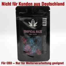 Magic Buds Tea "Tropical Haze" 1 gr.